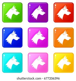 Dog icons of 9 color set isolated vector illustration