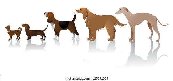 Dog Icons Lined up Small to Large EPS 8 vector, no open shapes or paths, grouped for easy editing.