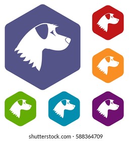 Dog icons set rhombus in different colors isolated on white background
