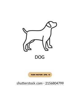 dog icons  symbol vector elements for infographic web