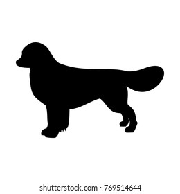dog icon,vector illustration