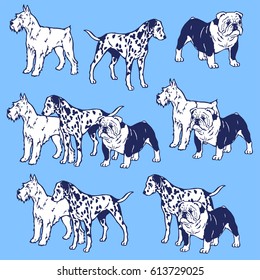 Dog illustration 
