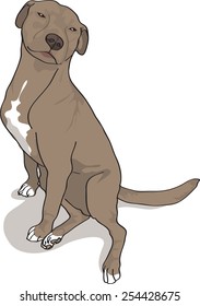 Dog Illustration - Brown Pit Bull Sitting Down