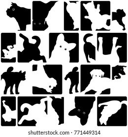 Dog illustration .
I made the illustration of the puppy which I loved