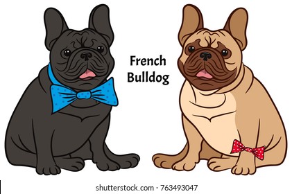 Dog illustration on a white background. Breed french bulldog.