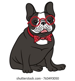 Dog illustration on a white background. Breed french bulldog.