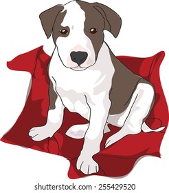 Dog illustration - Pitt Bull Puppy, white and tan fur