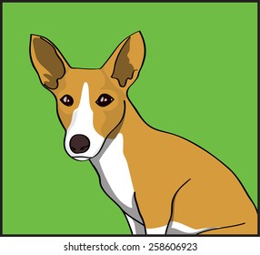 Dog illustration - Portuguese Podengo Smooth-Haired, hunting dog