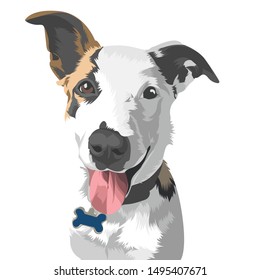 Dog illustration vector on white background