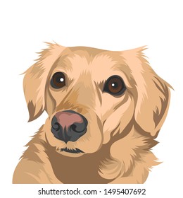 Dog illustration vector on white background