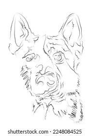 dog illustration vector illustration on white background
