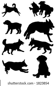 dog illustrations