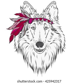 Dog in the Indian dressing with feathers . The leader of the tribe. Vector illustration for greeting cards , posters or prints on clothes and accessories . Collie.