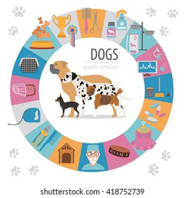 Dog info graphic template. Heatlh care, vet, nutrition, exhibition. Vector illustration 