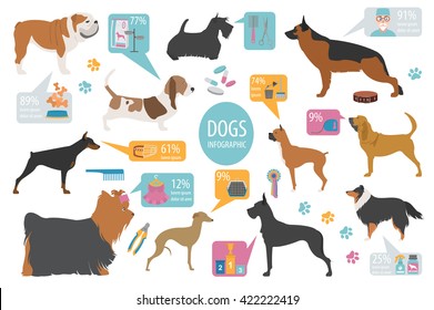 Dog info graphic template. Heatlh care, vet, nutrition, exhibition. Vector illustration 