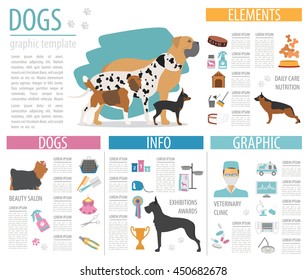 Dog info graphic template. Heatlh care, vet, nutrition, exhibition. Vector illustration 