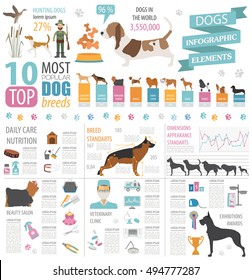 Dog info graphic template. Heatlh care, vet, nutrition, exhibition. Vector illustration 