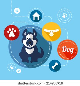 Dog info graphics