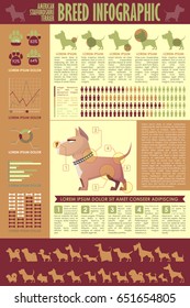 Dog infographic. Vector collection.