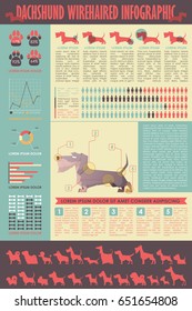 Dog infographic. Vector collection.
