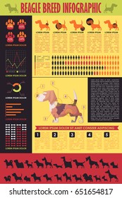 Dog infographic. Vector collection.