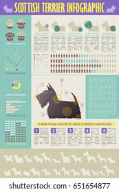 Dog infographic. Vector collection.