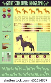 Dog infographic. Vector collection.