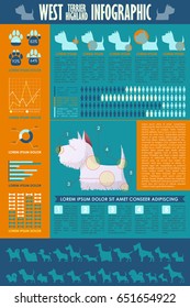 Dog infographic. Vector collection.