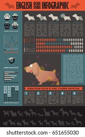 Dog infographic. Vector collection.
