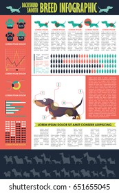 Dog infographic. Vector collection.