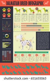 Dog infographic. Vector collection.