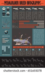 Dog infographic. Vector collection.