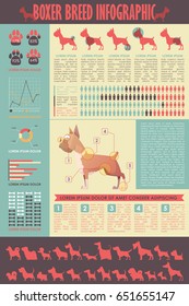 Dog infographic. Vector collection.