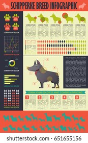 Dog infographic. Vector collection.