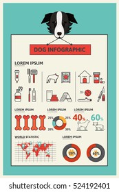 Dog infographic.Infographics on the dog care. Dog Training. The statistics given. Charts and World Map.Minimalistic design.