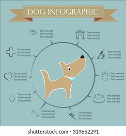 Dog infographics and icon set. 