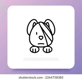 Dog injured, eye bandage. Veterinary clinic. Thin line icon, medical halp for pets. Vector illustration.