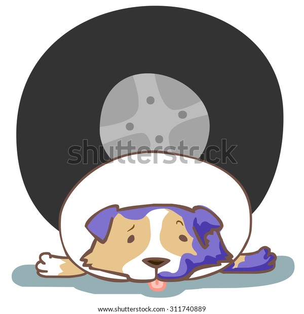 dog with injured\
leg with neck collar\
vector