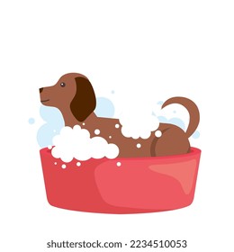 Dog inside bath on white background