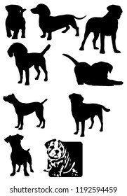 dog isolate vector set