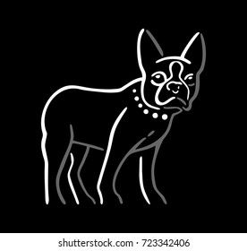 Dog isolated on black background. Vector white and gray flat illustration.