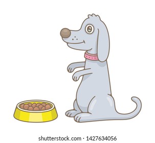 Dog. isolated on white background