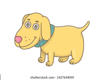 Dog. isolated on white background