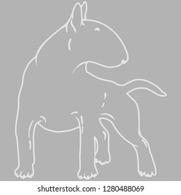 Вullterrier dog - isolated vector illustration. Outline of a gray fighting dog. Stencil of bull terrier for tattoo. Flat design, vector illustration, vector.