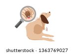 Dog itching due to  dog tick on the dog skin under fur Vector
