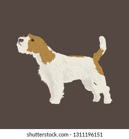 Dog, Jack Russel Terrier, isolated vector illustration. Flat design