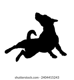 Dog Jack Russell Terrier jumping silhouette Breeds Bundle Dogs on the move. Dogs in different poses.
The dog jumps, the dog runs. The dog is sitting lying down is playing
