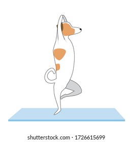 Dog or jack russell terrier performs yoga asanas. Flat and outline vector stock vector illustration with a cute cartoon character and a mat in a combined technique as a yoga concept