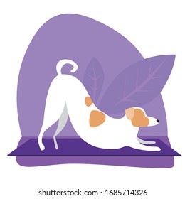 Dog or jack russell terrier is stretched in asana Adho Mukha Shwanasana against the background of tropical leaves. Cute flat stock vector illustration with character or puppy as a concept of yoga