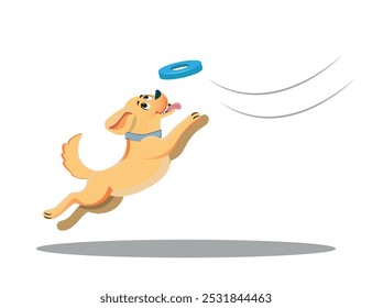 dog jumping to catch a disc, puppy playing, vector flat style vector illustration.